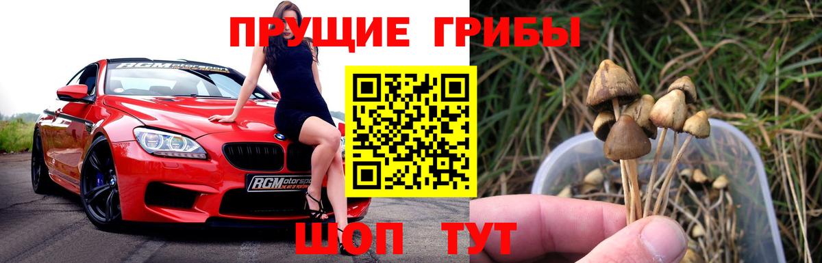 Качканар  Галлюциногенные грибы Magic Shrooms  Галлюциногенные грибы прущие грибы  Вход с VPN 